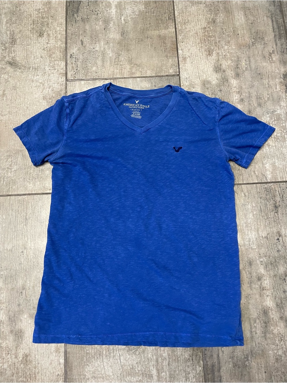 American Eagle Outfitters Men’s V-Neck Tee in Blue